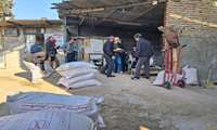 تخصیص اعتبار و توزیع نهاده‌ها در پی بازدید سرپرست جهاد کشاورزی مازندران از روستاهای کم‌برخوردار ساری